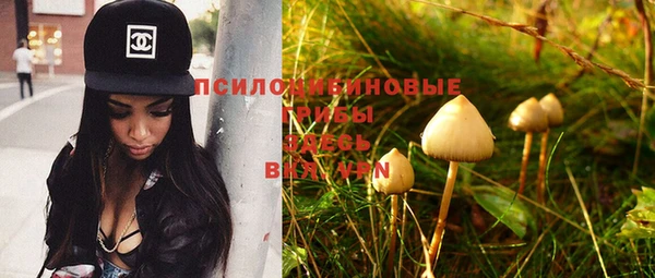 бошки Баксан