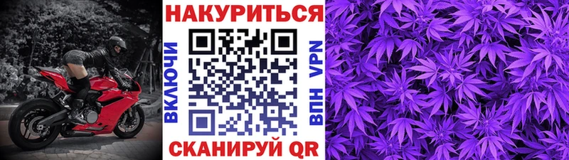 Каннабис OG Kush  Печора 